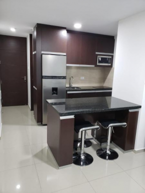 Nice Studio Apartment